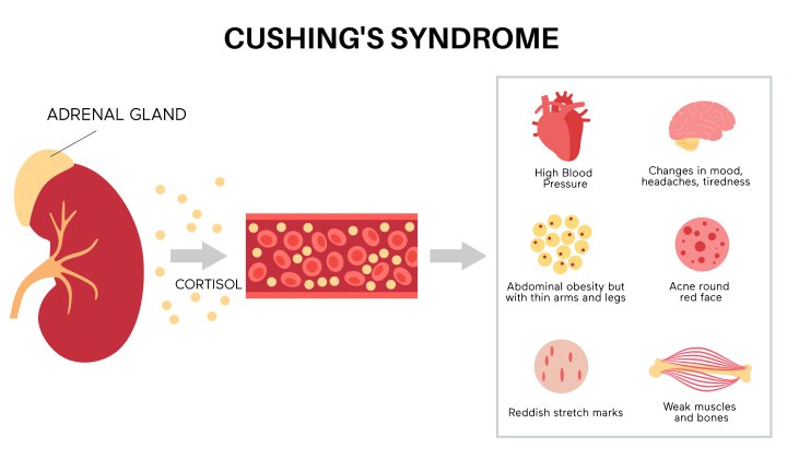 Hypertension and hormone levels